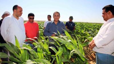 اقتصادية النواب تطالب بتحويل المحافظات لمصانع وحقول إنتاج لتعزيز الأمن الغذائي والصناعي