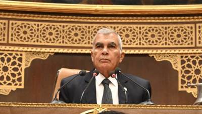 رئيس مجلس الشيوخ: دورنا الدستوري يعزز جودة التشريعات خلال مناقشة تعديل قانون الكهرباء