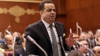 نائب بالشيوخ: تشديد عقوبة سرقة الكهرباء لا يحقق الردع دائما وأطالب بدراسة جذرية للقطاع