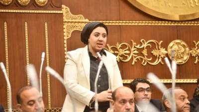 أميرة صابر تعترض على تعديل قانون الكهرباء: تغليظ العقوبات يفتقر للأساس المعلوماتي