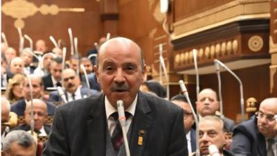 برلمانية المصري الديمقراطي بالشيوخ ترفض مشروع قانون تعديل بعض أحكام قانون الكهرباء: قد تطال البسطاء