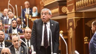 النائب علاء عبد النبي يدعو لتشريع فوري وأنظمة رقابية لحماية الأطفال من وسائل التواصل