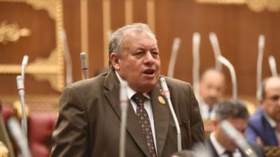 محمد الأجرود: توجيهات الرئيس وضعت مصر على مسار الثبات وسط عواصف إقليمية