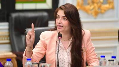النائبة إيرين سعيد: نرفض مشروع "الإدارة المحلية" والحكومة لم تنفض التراب من عليه