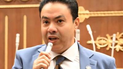 إسماعيل الشرقاوي: الزراعة العضوية بوابتنا الذهبية لتعزيز التنافسية العالمية وتحقيق الاستدامة