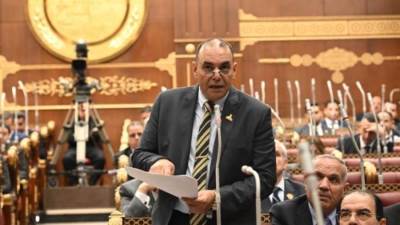 النائب رجائي عزت يطالب برفع مخصصات الصحة في الموازنة الجديدة لتحقيق العدالة العلاجية