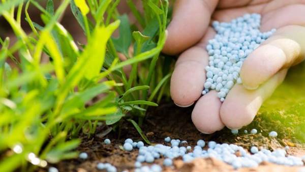 أزمة توزيع الأسمدة المدعمة تحت قبة الشيوخ.. هل ينقذ القانون الجديد الفلاح من محسوبية التكتلات؟