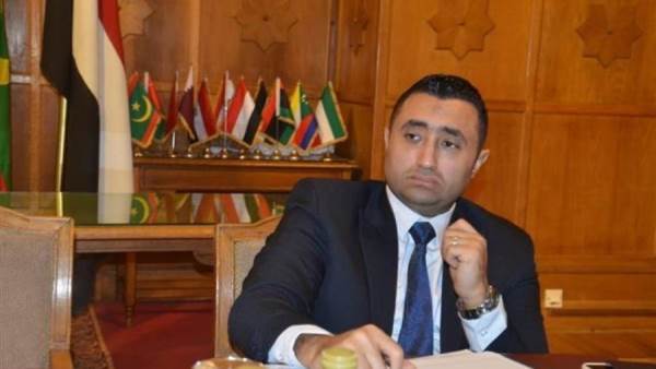 أمين "الحركة الوطنية" بالجيزة: التعاقد مع "موديز" و"فيتش" يقلل تكلفة الاقتراض ويدعم الموازنة